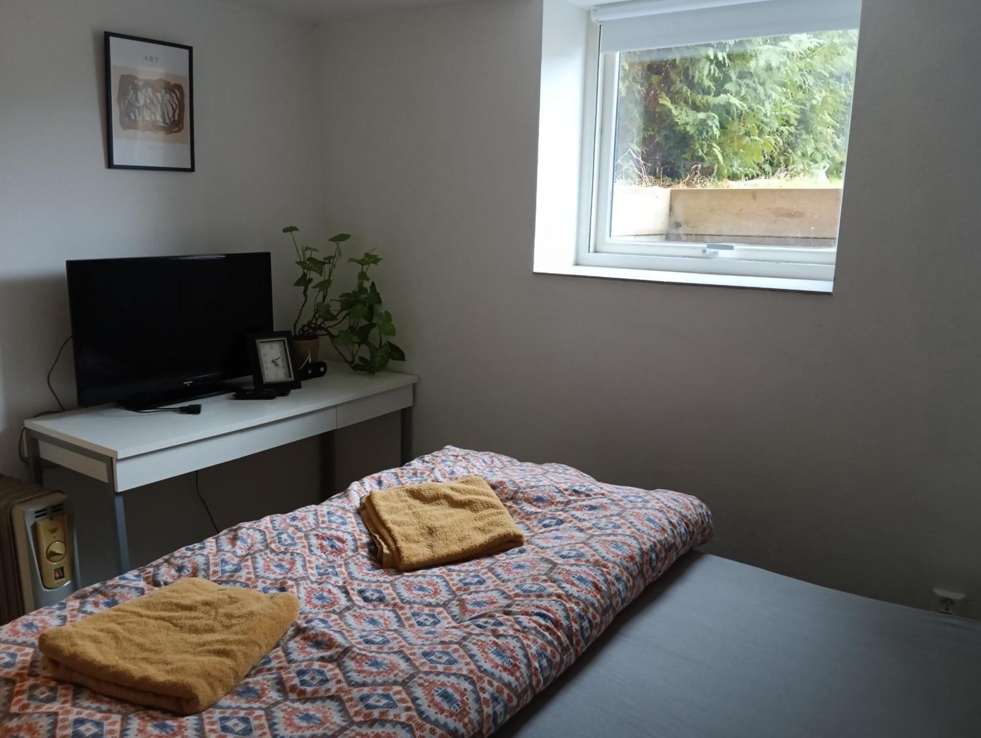 Renovated Semi- Basement 2 Bedrooms Furnished Apartment - Close To Everything In Мосс Екстер'єр фото